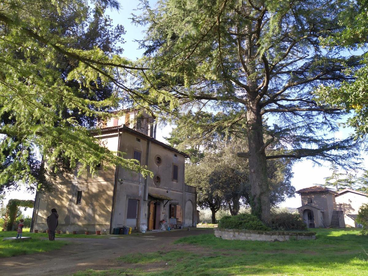 Agriturismo La Villetta San Lorenzo Nuovo Exterior photo