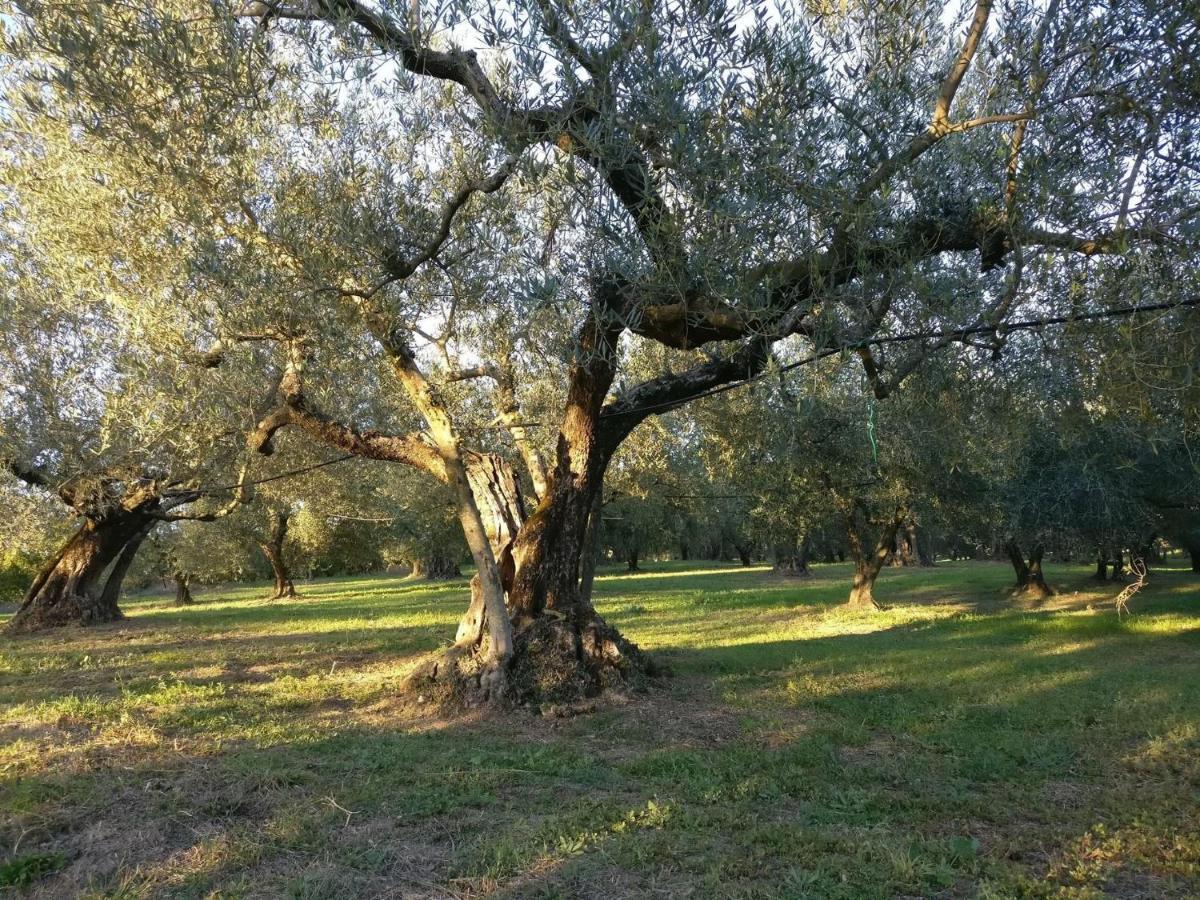 Agriturismo La Villetta San Lorenzo Nuovo Exterior photo