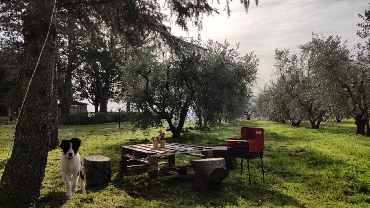 Agriturismo La Villetta San Lorenzo Nuovo Exterior photo