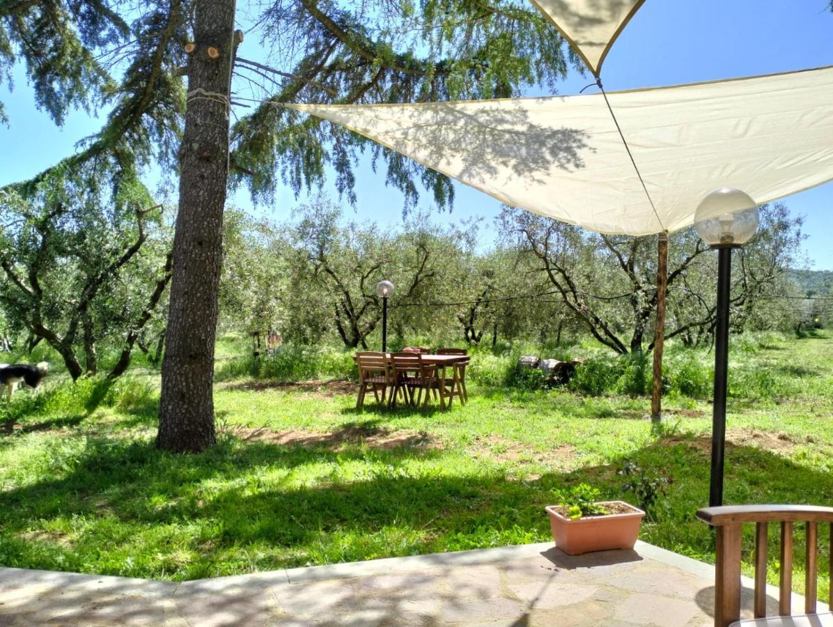Agriturismo La Villetta San Lorenzo Nuovo Exterior photo