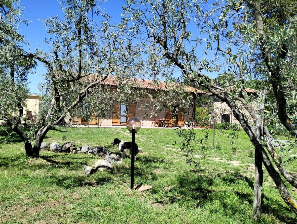 Agriturismo La Villetta San Lorenzo Nuovo Exterior photo