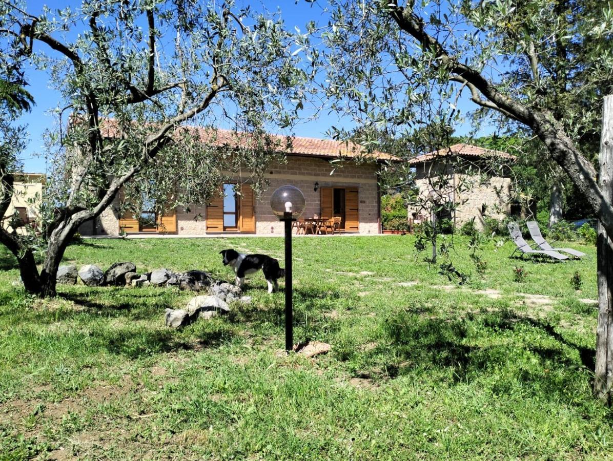 Agriturismo La Villetta San Lorenzo Nuovo Exterior photo