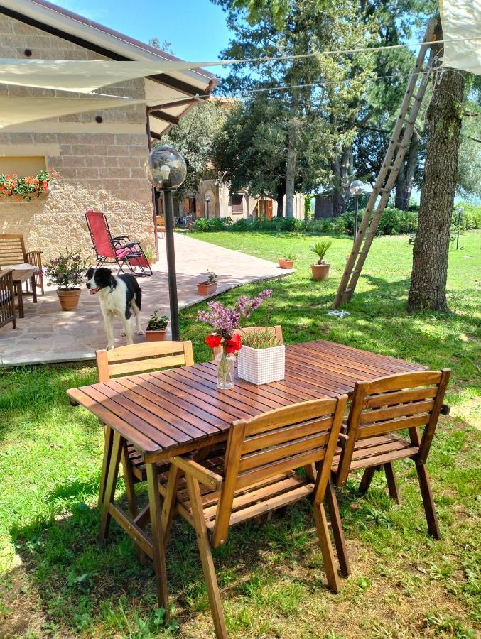 Agriturismo La Villetta San Lorenzo Nuovo Exterior photo